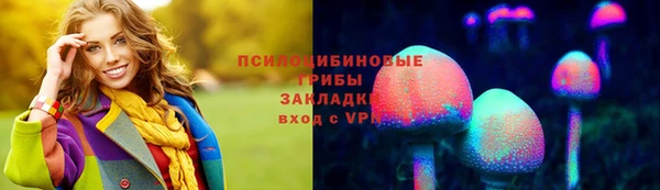 крисы Алексеевка