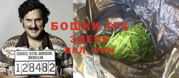 твердый Алексин