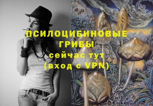 стафф Навашино