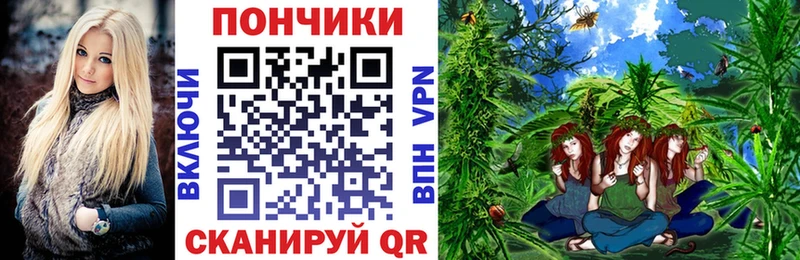 гидра ссылки  купить наркотики сайты  Новоульяновск  Бошки марихуана Bruce Banner 